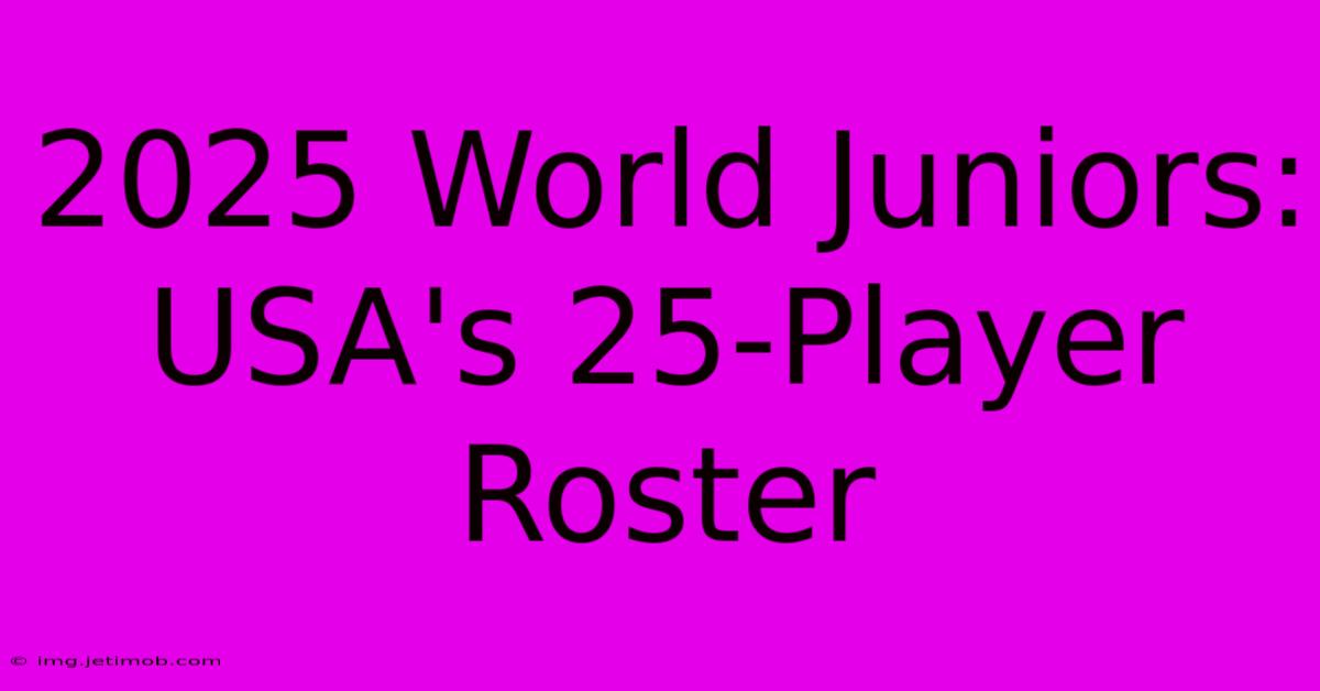 2025 World Juniors: USA's 25-Player Roster