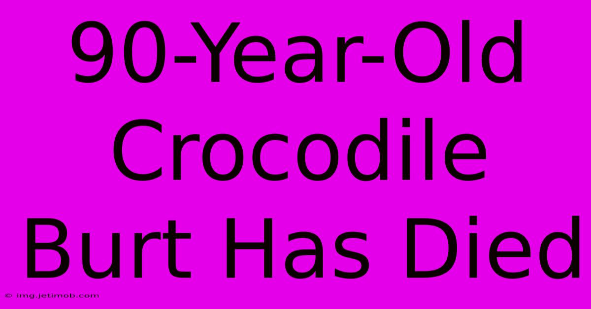 90-Year-Old Crocodile Burt Has Died