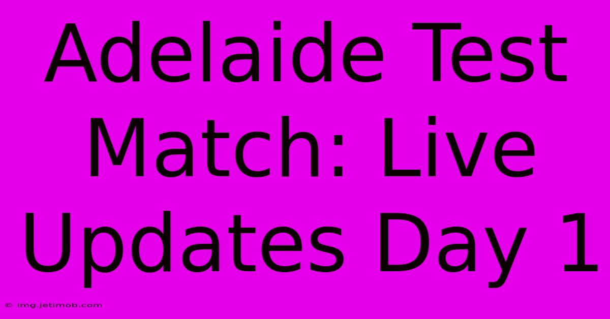 Adelaide Test Match: Live Updates Day 1