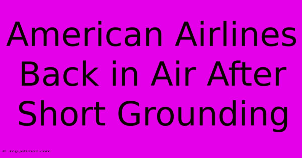 American Airlines Back In Air After Short Grounding