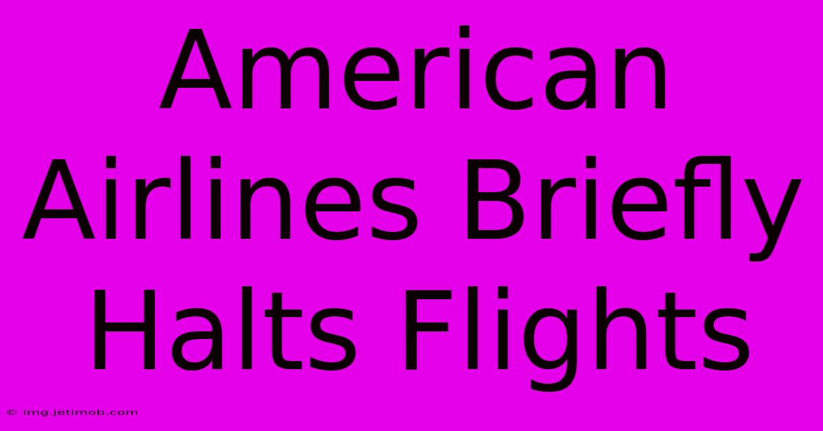 American Airlines Briefly Halts Flights