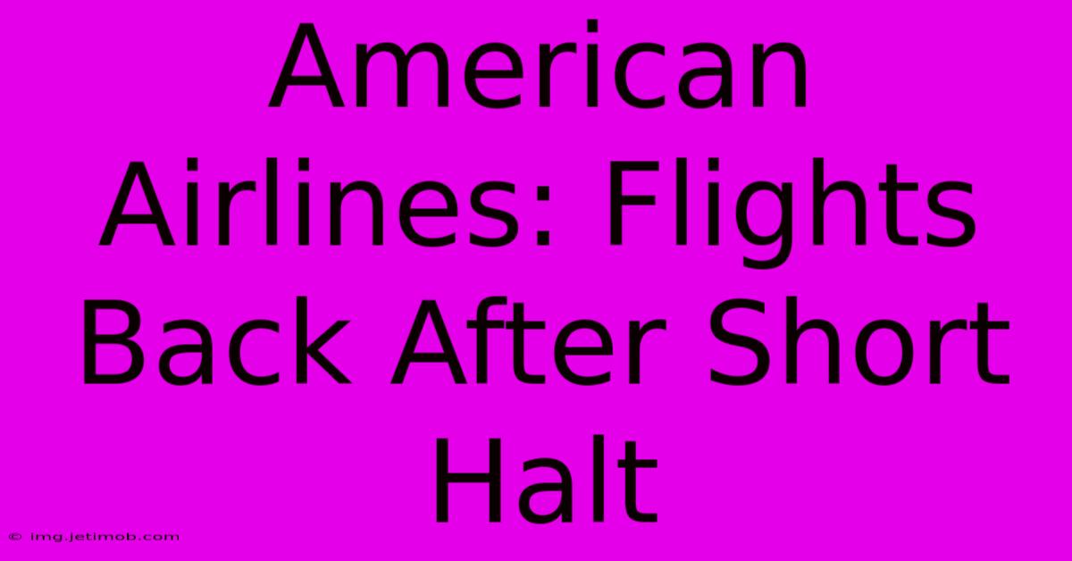 American Airlines: Flights Back After Short Halt