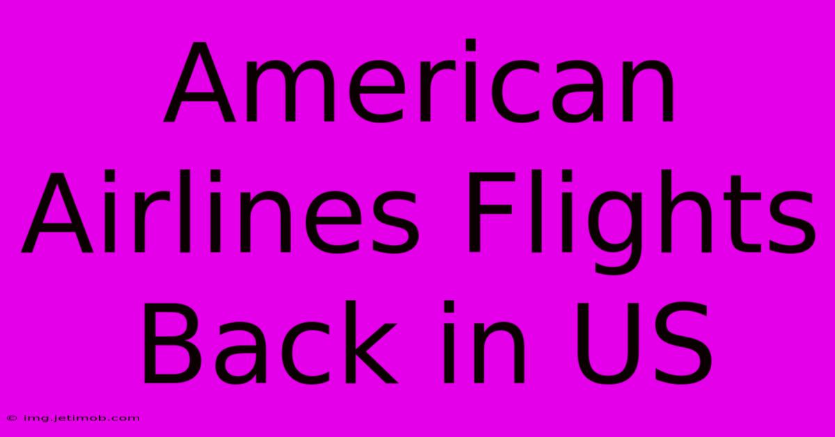 American Airlines Flights Back In US