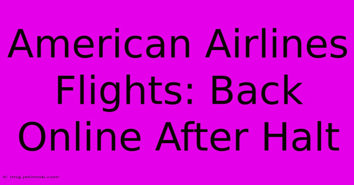 American Airlines Flights: Back Online After Halt