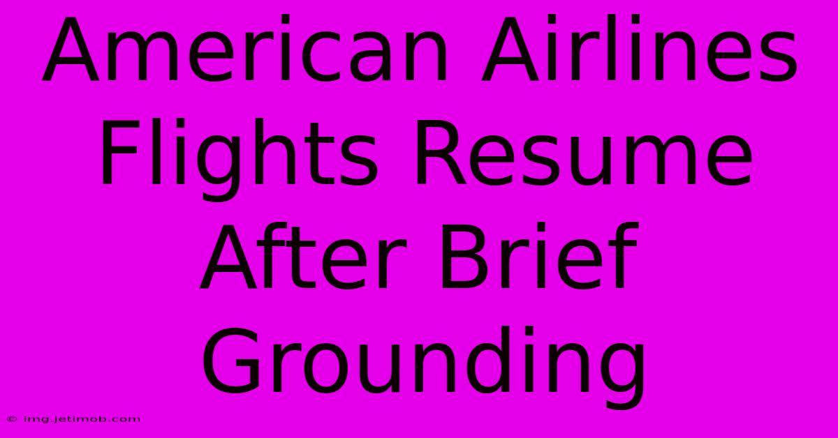 American Airlines Flights Resume After Brief Grounding