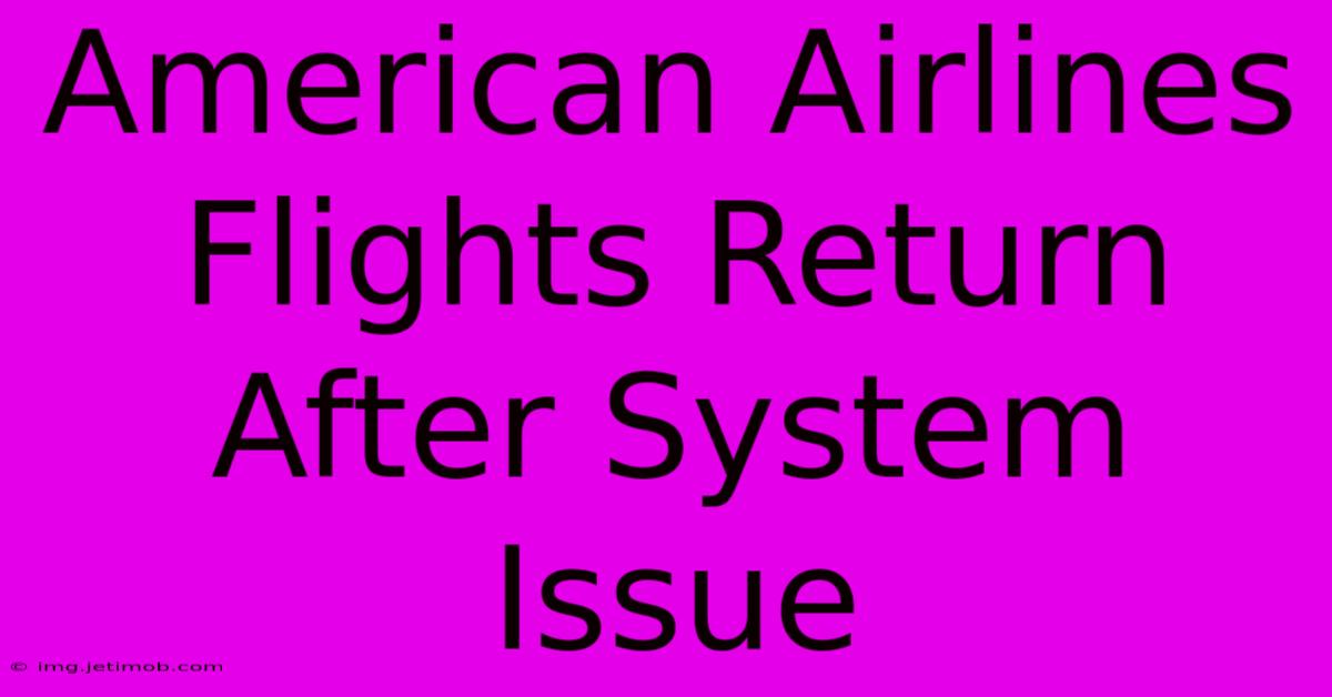 American Airlines Flights Return After System Issue