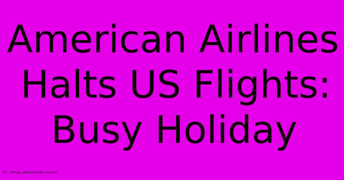 American Airlines Halts US Flights: Busy Holiday