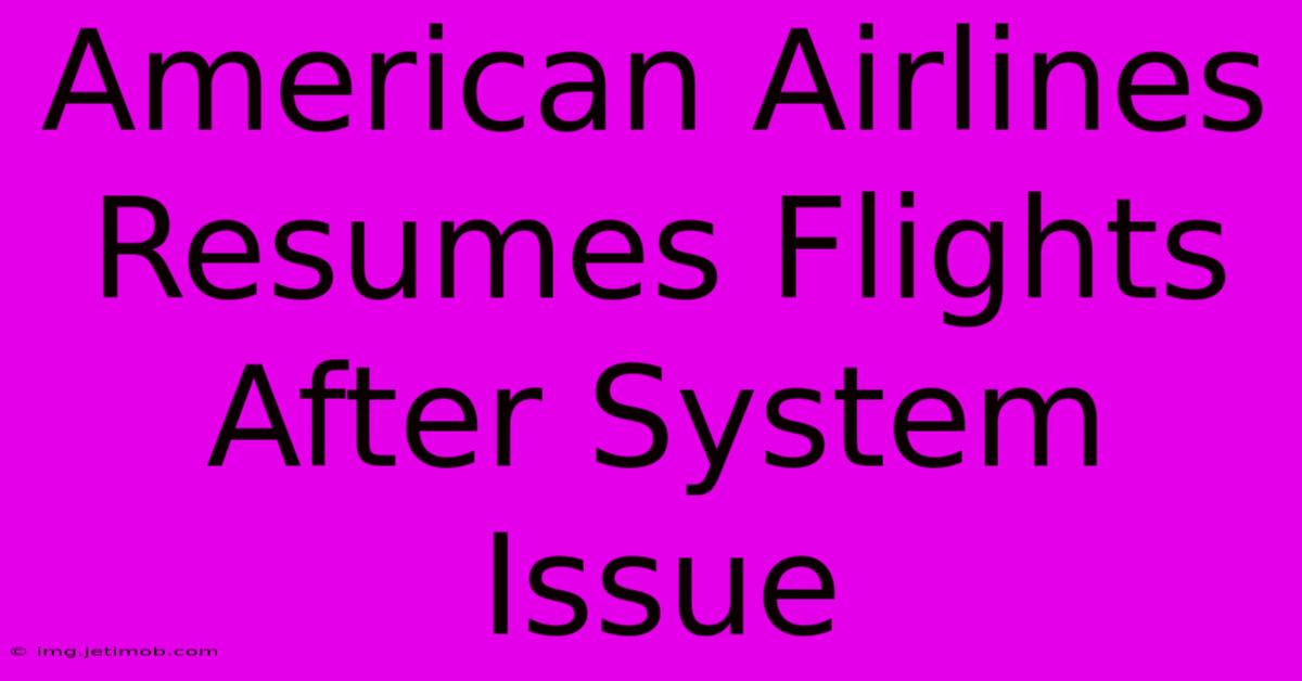 American Airlines Resumes Flights After System Issue