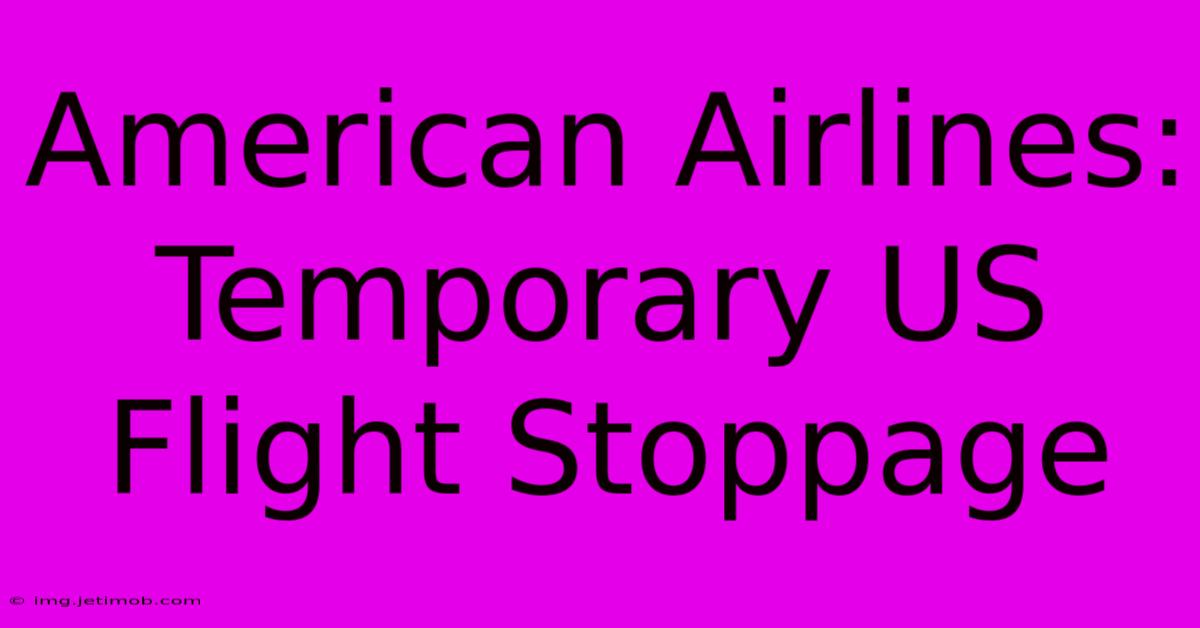 American Airlines: Temporary US Flight Stoppage