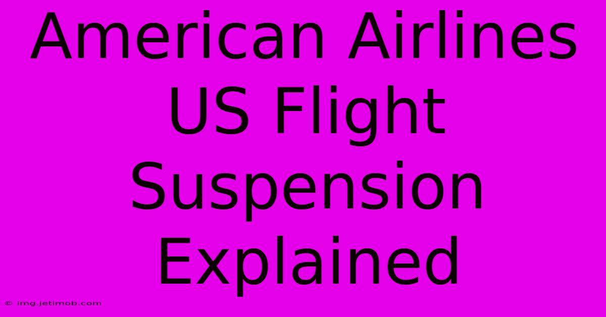 American Airlines US Flight Suspension Explained