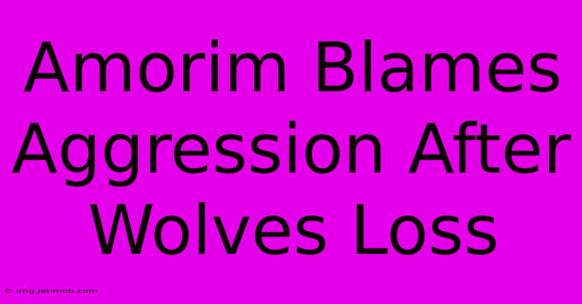 Amorim Blames Aggression After Wolves Loss