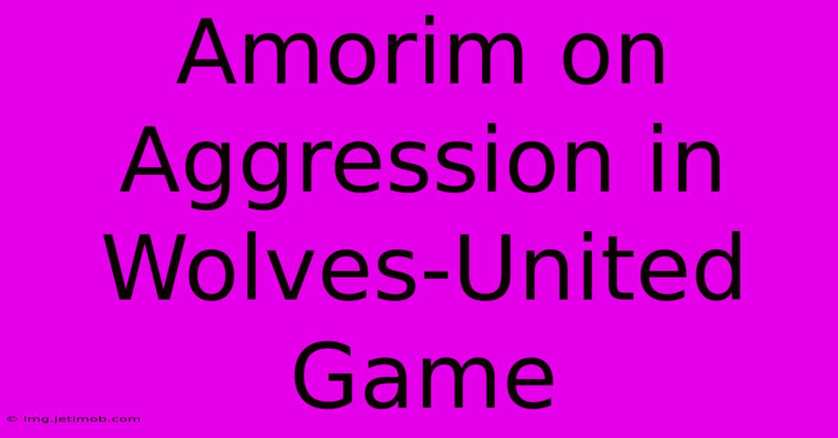 Amorim On Aggression In Wolves-United Game