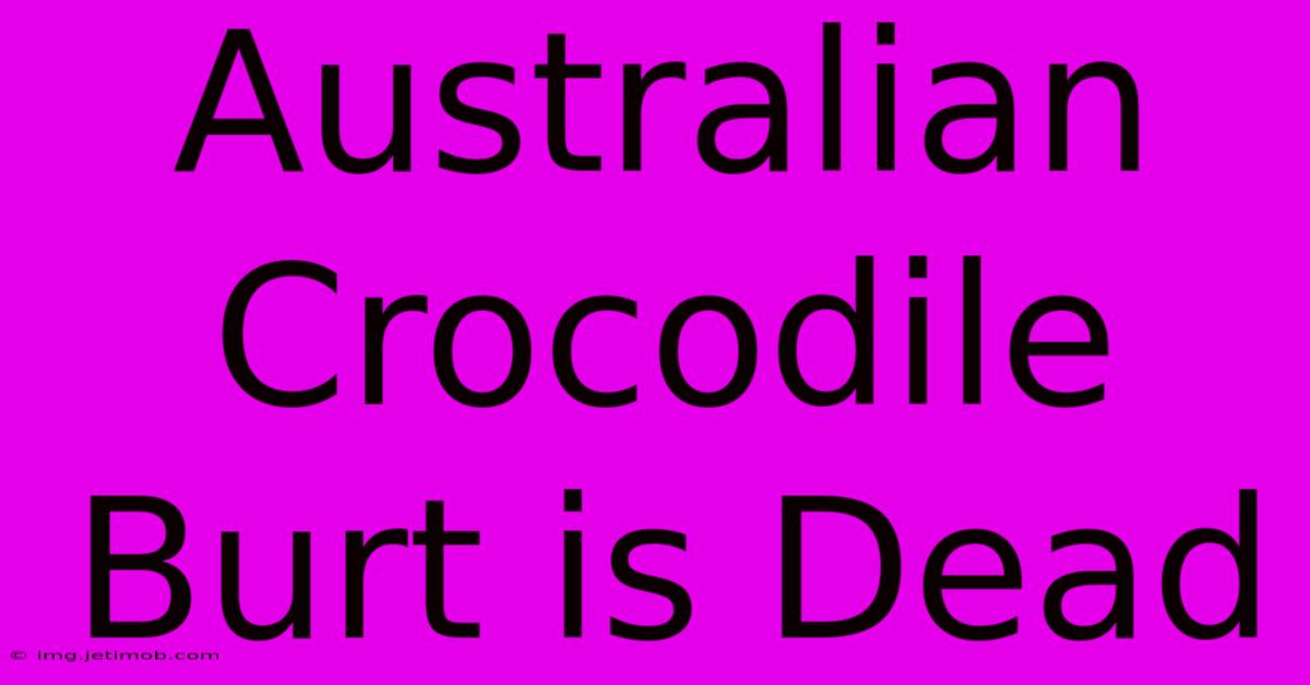 Australian Crocodile Burt Is Dead