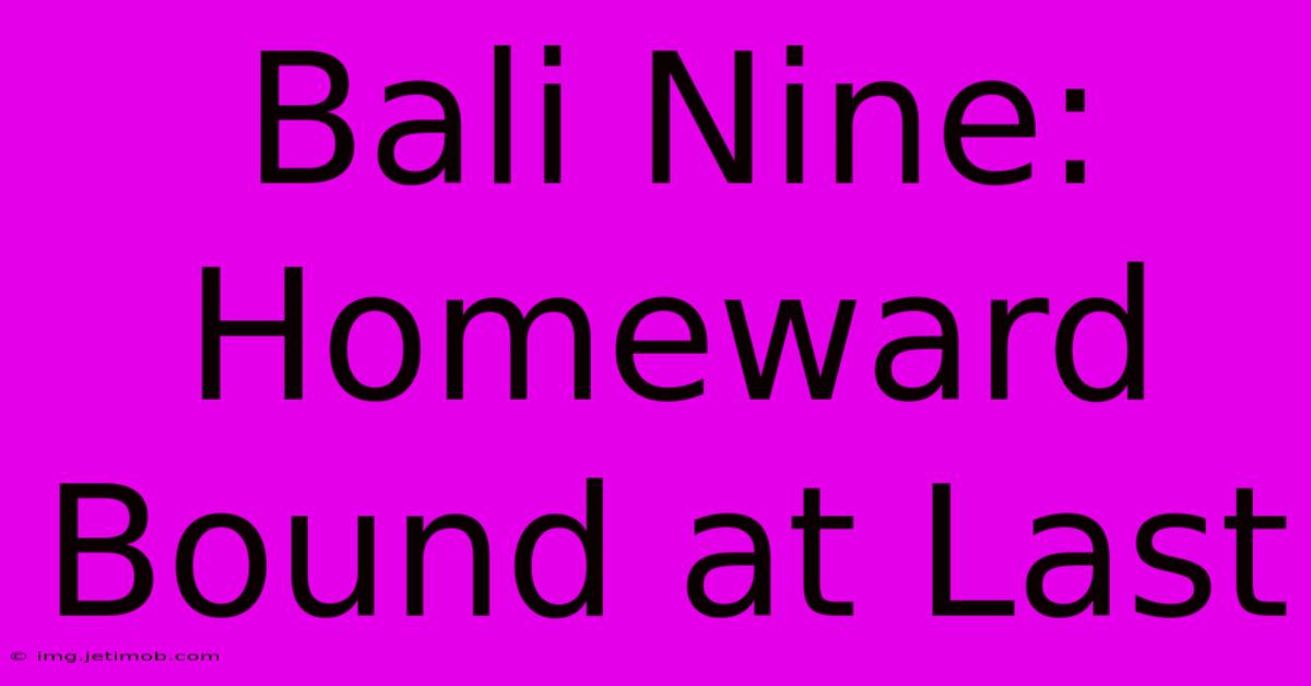 Bali Nine: Homeward Bound At Last