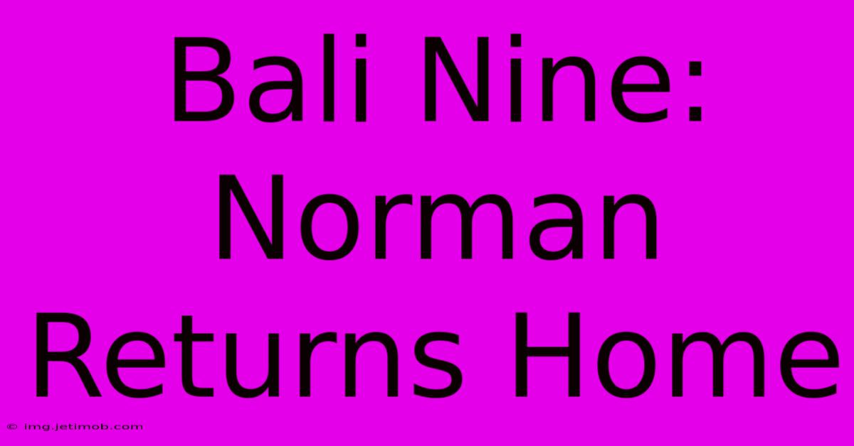 Bali Nine: Norman Returns Home