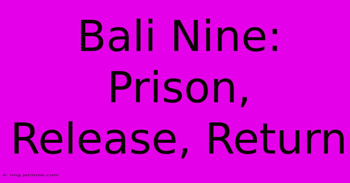 Bali Nine: Prison, Release, Return