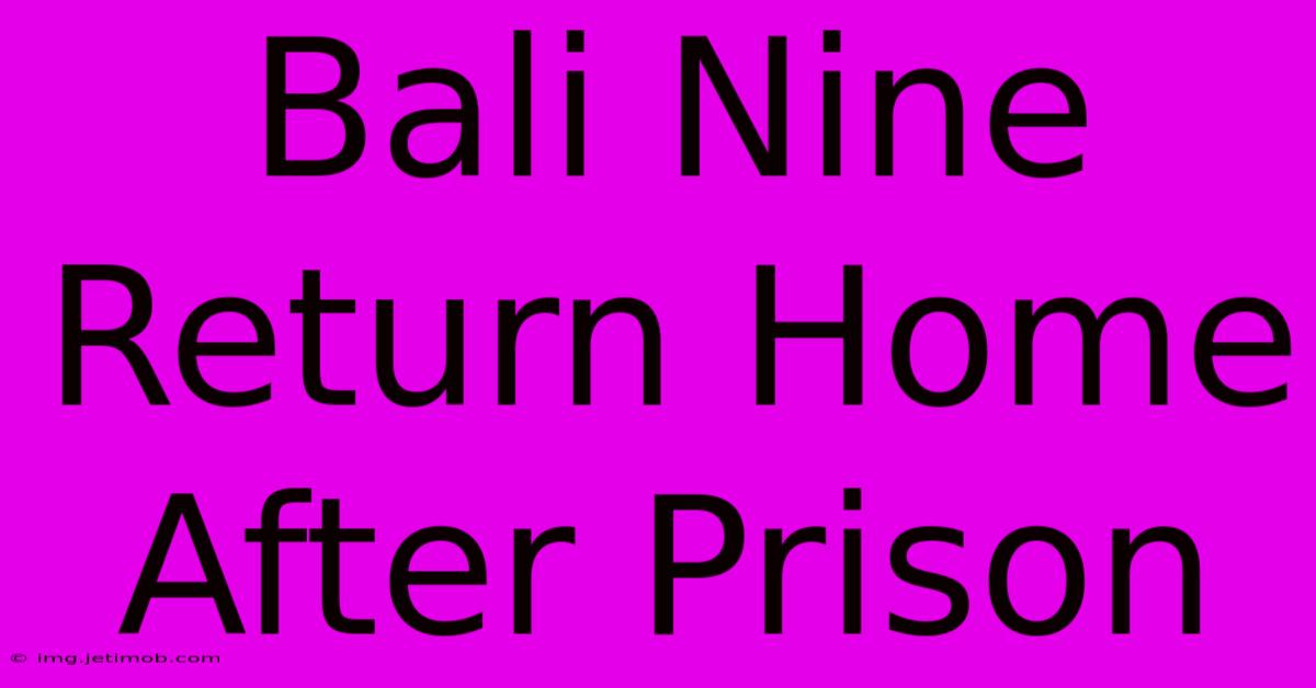 Bali Nine Return Home After Prison