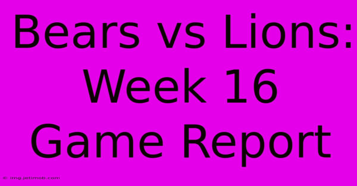 Bears Vs Lions: Week 16 Game Report