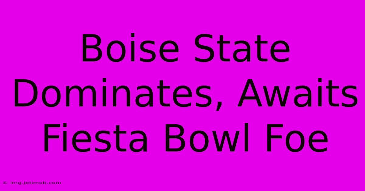 Boise State Dominates, Awaits Fiesta Bowl Foe