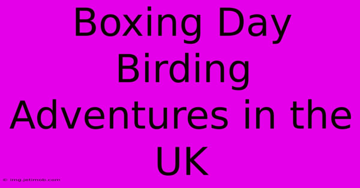 Boxing Day Birding Adventures In The UK