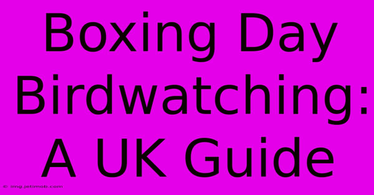 Boxing Day Birdwatching: A UK Guide