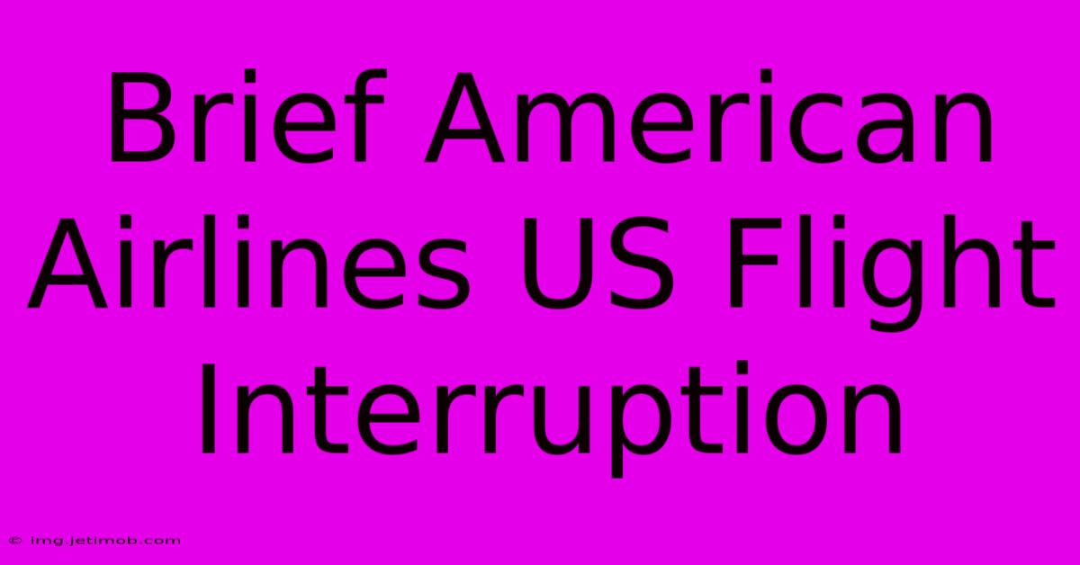 Brief American Airlines US Flight Interruption