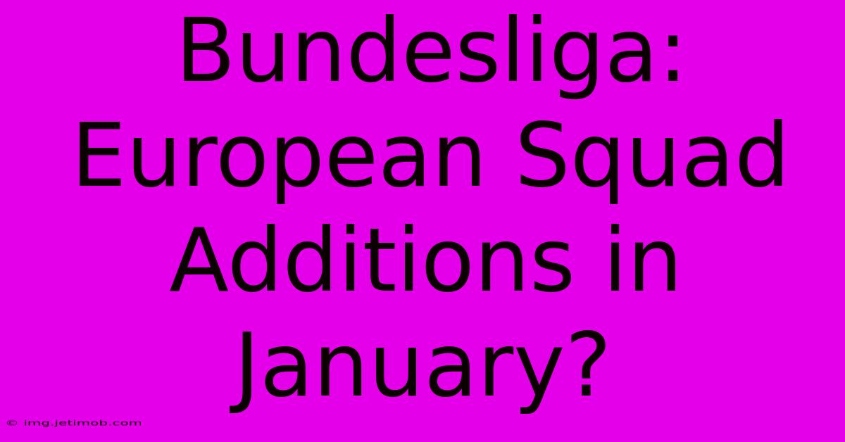 Bundesliga: European Squad Additions In January?