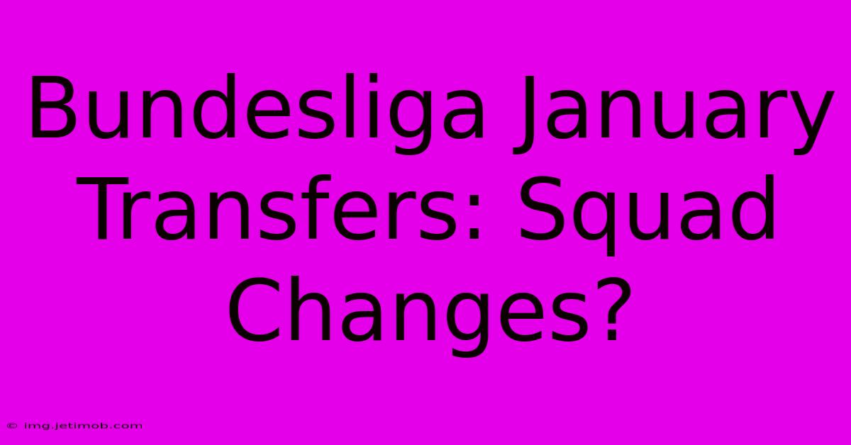 Bundesliga January Transfers: Squad Changes?