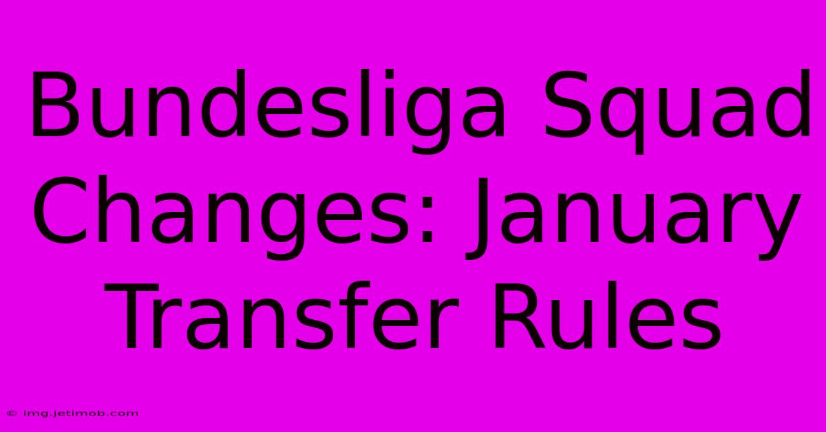 Bundesliga Squad Changes: January Transfer Rules