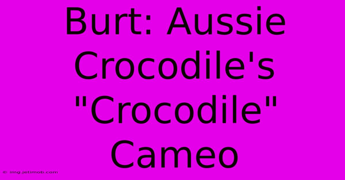 Burt: Aussie Crocodile's 