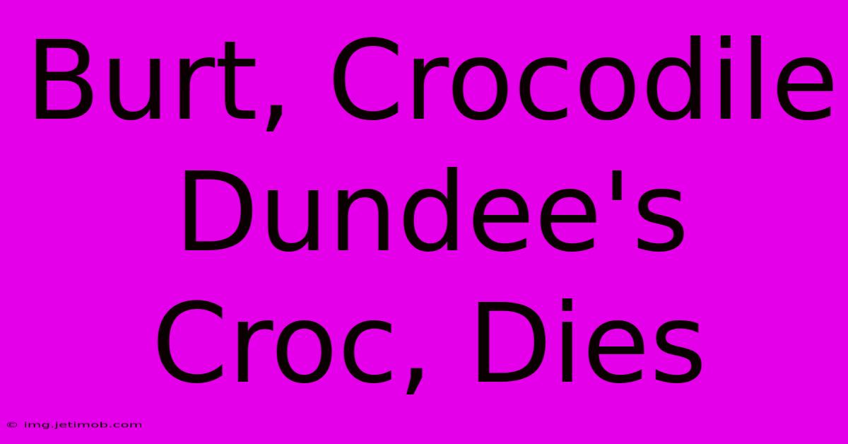 Burt, Crocodile Dundee's Croc, Dies