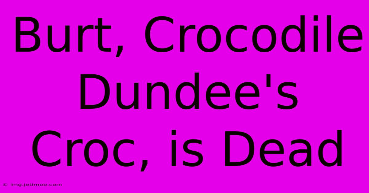 Burt, Crocodile Dundee's Croc, Is Dead