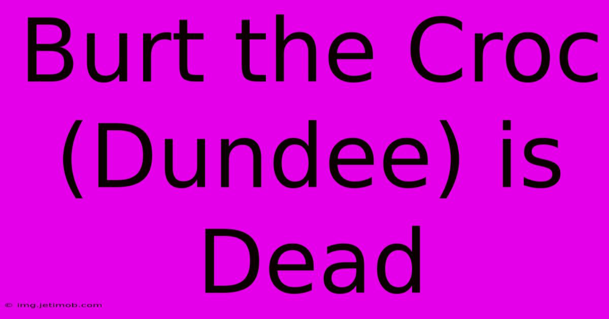 Burt The Croc (Dundee) Is Dead