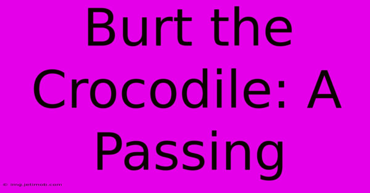 Burt The Crocodile: A Passing