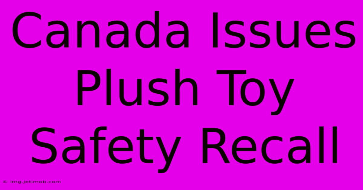 Canada Issues Plush Toy Safety Recall