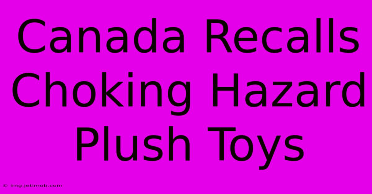 Canada Recalls Choking Hazard Plush Toys