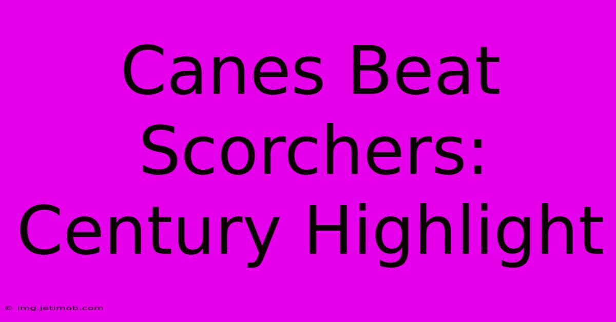 Canes Beat Scorchers: Century Highlight