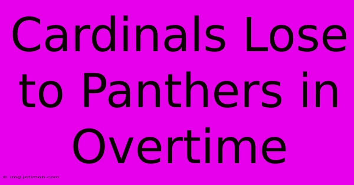 Cardinals Lose To Panthers In Overtime