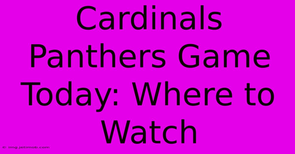 Cardinals Panthers Game Today: Where To Watch