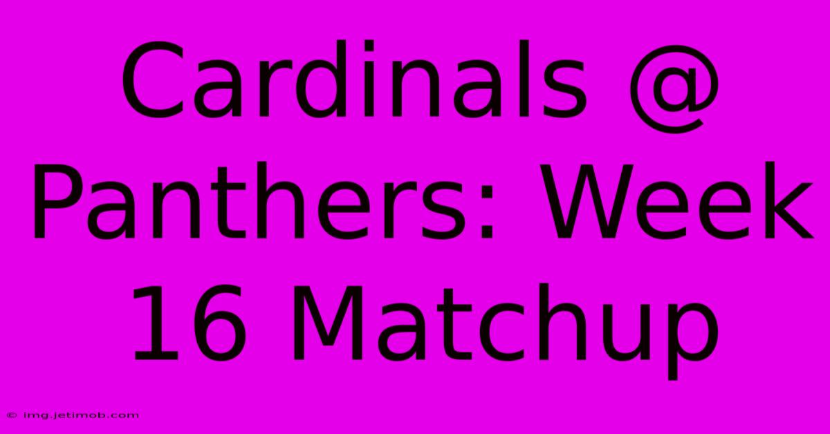 Cardinals @ Panthers: Week 16 Matchup