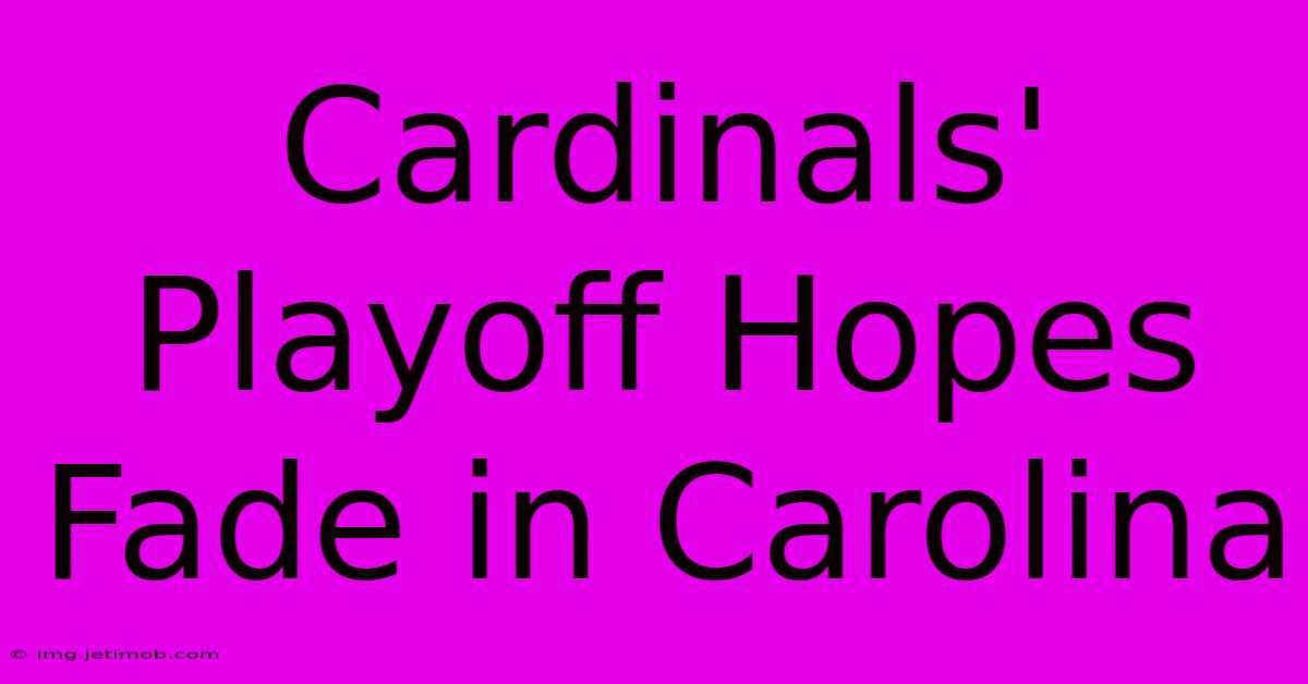 Cardinals' Playoff Hopes Fade In Carolina