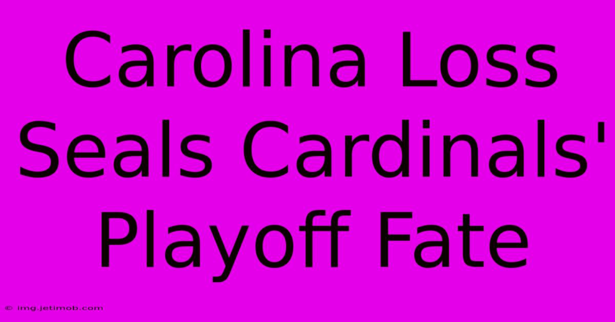 Carolina Loss Seals Cardinals' Playoff Fate