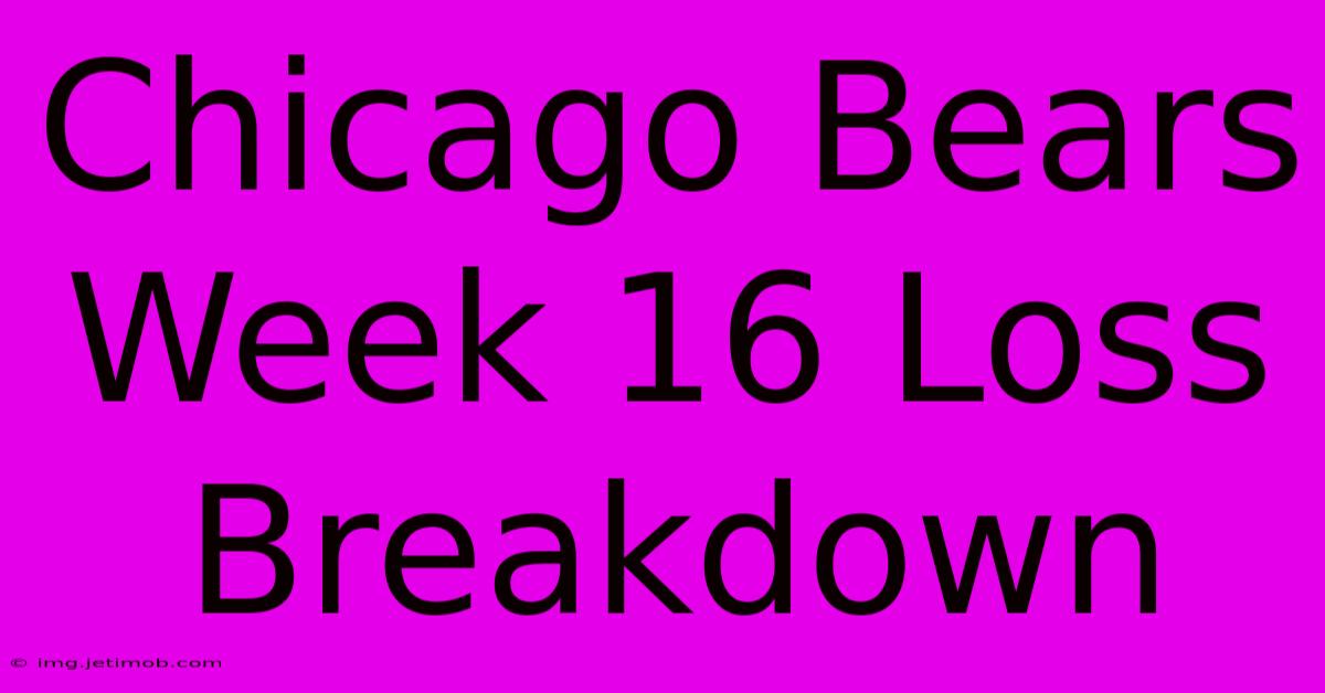 Chicago Bears Week 16 Loss Breakdown