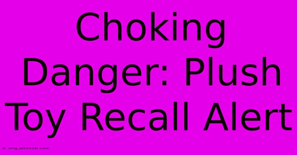 Choking Danger: Plush Toy Recall Alert