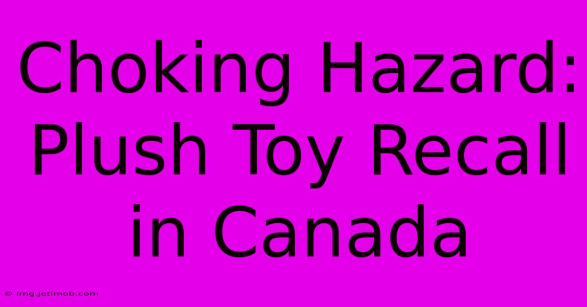 Choking Hazard: Plush Toy Recall In Canada