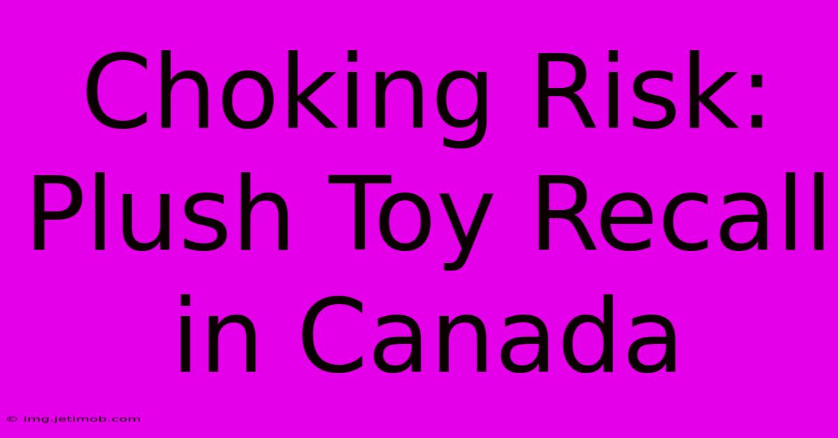 Choking Risk: Plush Toy Recall In Canada