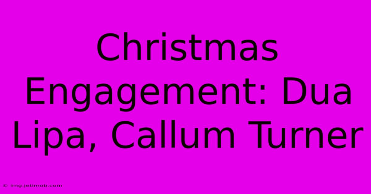 Christmas Engagement: Dua Lipa, Callum Turner