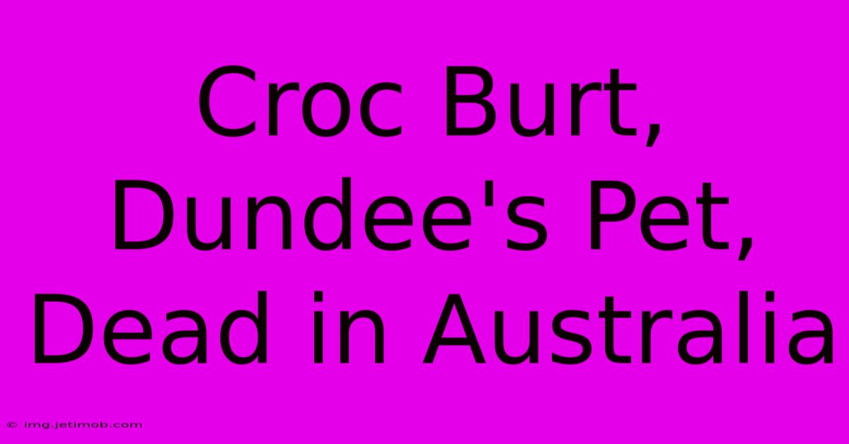 Croc Burt, Dundee's Pet, Dead In Australia