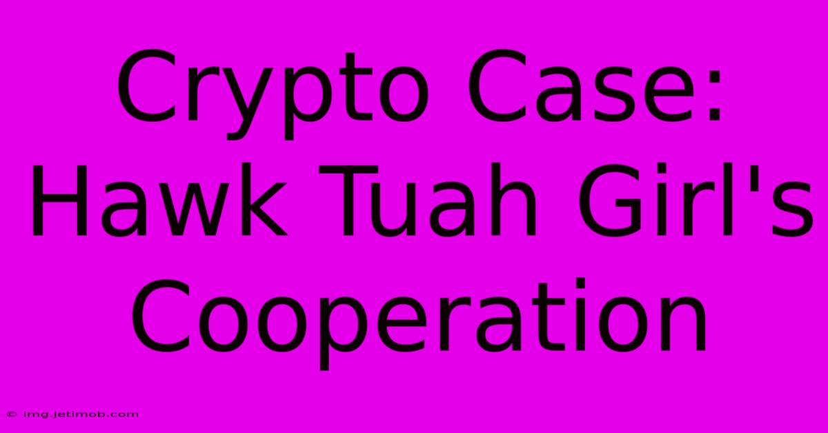 Crypto Case: Hawk Tuah Girl's Cooperation