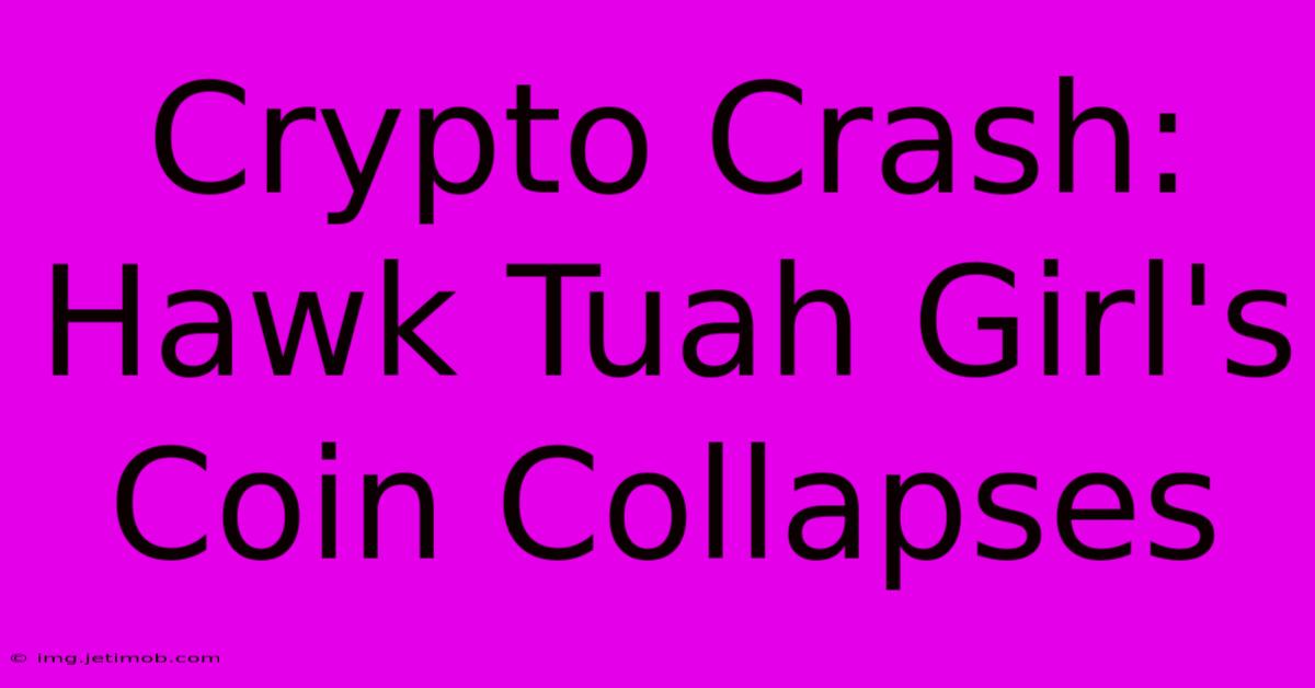 Crypto Crash: Hawk Tuah Girl's Coin Collapses